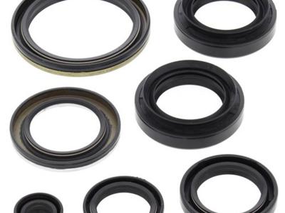 Miscellaneous Engine Oil Seal Kit | Suzuki LTA 400 KQ/Eiger  | 2002-15