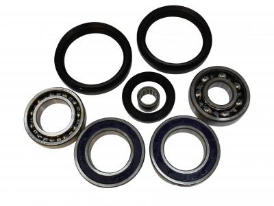Miscellaneous Differential Bearing And Seal Kit - Arctic Cat 500 ( Rear )
