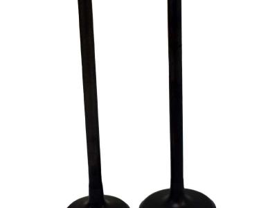 Miscellaneous Engine Valve Pair | Kawasaki | KVF650 /700 /750 /KSV700