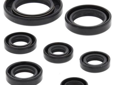 Miscellaneous Engine Oil Seal Kit | Honda TRX 250 Recon 2002-2020