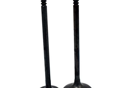 Miscellaneous Engine Valve Pair | Polaris | Ranger / Sportsman 700 / 800