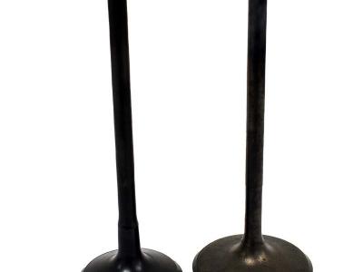 Miscellaneous Engine Valve Pair | Polaris | Sportsman 450 /570