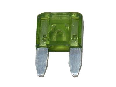 Miscellaneous Fuse | 30A Blade Mini Fuse (Pack Of 10)