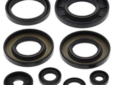 Miscellaneous Engine Oil Seal Kit | Yamaha YFM 550/700 Grizzly | 2009-15