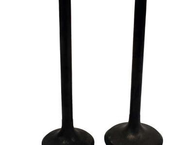 Miscellaneous Engine Valve Pair | Honda | TRX250 97-01