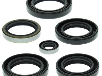 Miscellaneous Engine Oil Seal Kit Kawasaki KVF 360 2003-13