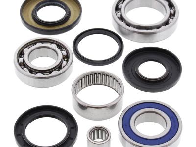 Miscellaneous Differential Bearing And Seal Kit - Suzuki ( Rear ) LTF 250 Ozark / LTZ 250