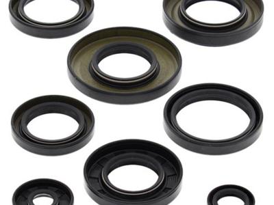 Miscellaneous Engine Oil Seal Kit | Yamaha YFM 350 Bruin/ Grizzly 2004-14