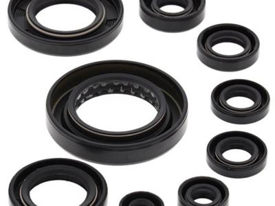 Miscellaneous Engine Oil Seal Kit | Honda TRX 420 FM/FE/TM/TE | 2007-20