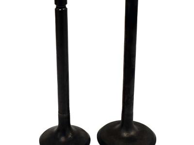 Miscellaneous Engine Valve Pair | Yamaha | YFM600 98-01