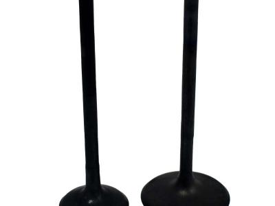 Miscellaneous Engine Valve Pair | Polaris | RZR XP TURBO 16-17