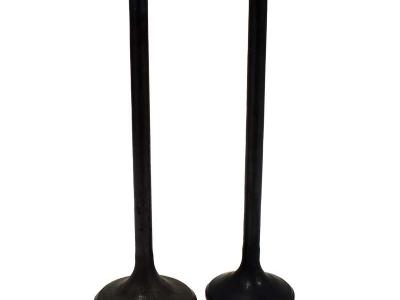 Miscellaneous Engine Valve Pair | Honda | TRX400EX /500FA /FGA