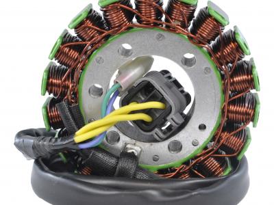 Vehicle Generator Parts Stator For Can-Am | DS 250