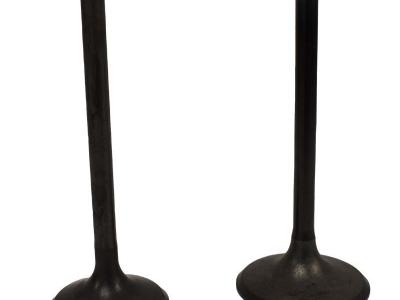 Miscellaneous Engine Valve Pair | Honda | TRX450 98-04