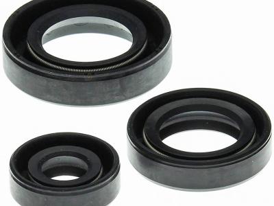 Miscellaneous Engine Oil Seal Kit | Kawasaki KLF 400 1993-99