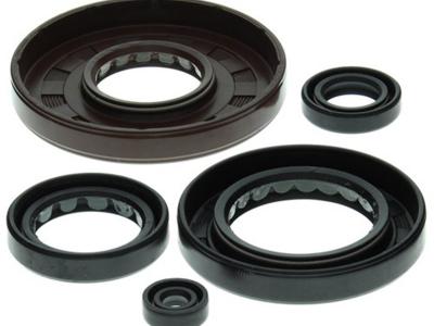 Miscellaneous Engine Oil Seal Kit  Honda TRX 500 FA 2001-14