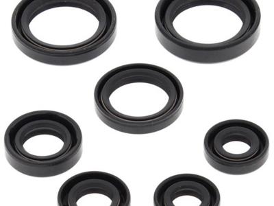 Miscellaneous Engine Oil Seal Kit | Honda TRX 350 | 2000 - 06