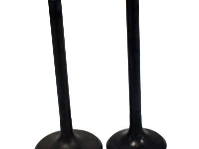 Miscellaneous Engine Valve Pair | Kawasaki | KVF360 03-11