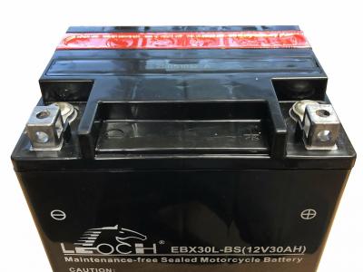 Miscellaneous Battery - YTX30-LBS