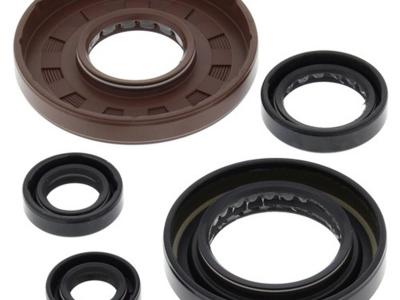 Miscellaneous Engine Oil Seal Kit | Honda TRX 500 FM | 2005-11