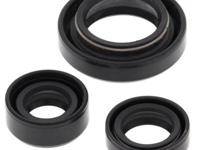 Miscellaneous Engine Oil Seal Kit | Suzuki LTF 250 Ozark | 2002-14