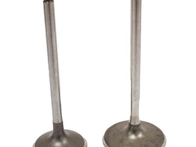 Miscellaneous Engine Valve Pair | Can-Am | Outlander 450 850 1000 1000R