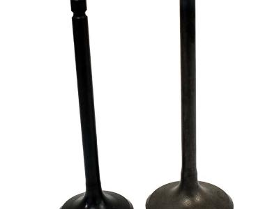 Miscellaneous Engine Valve Pair | Polaris | Sportsman 550 09-14