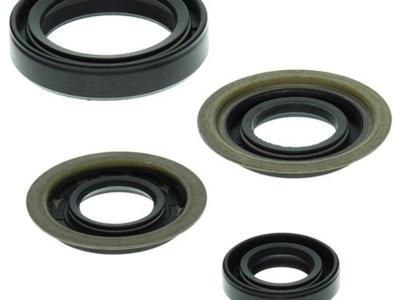 Miscellaneous Engine Oil Seal Kit | Yamaha YFM/YFB 250 BB/Timberwolf | 1994-2009