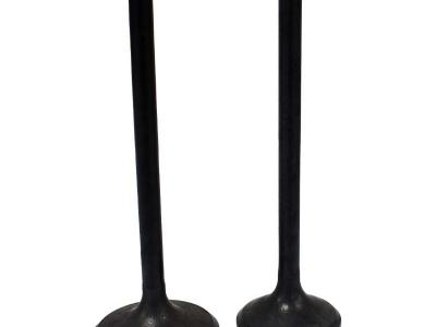 Miscellaneous Engine Valve Pair | Honda | TRX250 /TE /TM 02-20