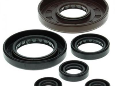 Miscellaneous Engine Oil Seal Kit - Honda - TRX 450S/ FE/ FM 1998-2004