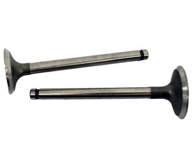 Miscellaneous Engine Valve Pair | Honda | TRX90 93-06 /90EX 07-08