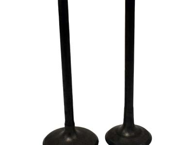 Miscellaneous Engine Valve Pair | Polaris | Ranger 900 13-19