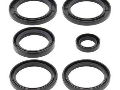 Miscellaneous Differential Seal Kit - Kawasaki ( Rear )  KVF 360 / KVF 650