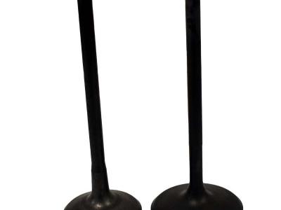 Miscellaneous Engine Valve Pair | Polaris | RZR 11-14