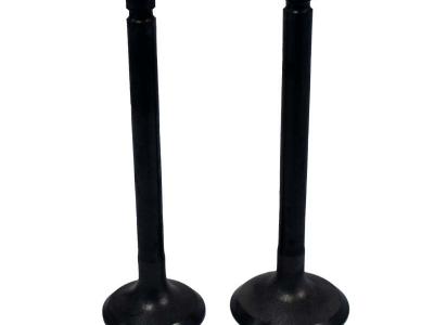 Miscellaneous Engine Valve Pair | Yamaha | YFM 80 /100 86-08