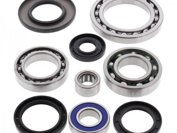 Miscellaneous Bearing And Seal Kit - Arctic Cat 400/454/500 / Suzuki LTA/F 500 Quad Runner ( Rear )