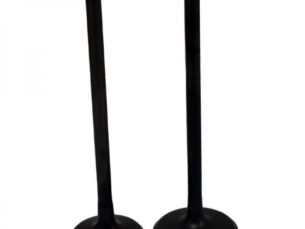 Miscellaneous Engine Valve Pair | Kawasaki | KVF650 /700 /750 /KSV700