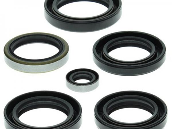 Miscellaneous Engine Oil Seal Kit - Suzuki LTF 400 KQ/Eiger 2002-12