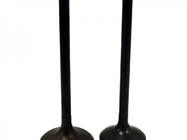 Miscellaneous Engine Valve Pair | Honda | ATC250ES SX /TRX250 85-87