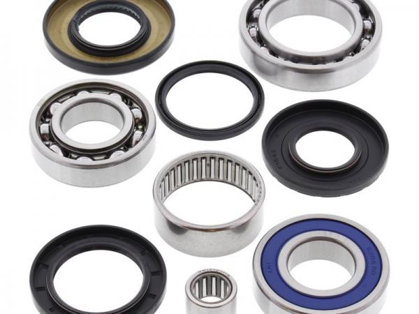 Miscellaneous Differential Bearing And Seal Kit - Suzuki ( Rear ) LTF 250 Ozark / LTZ 250