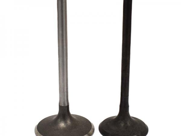 Miscellaneous Engine Valve Pair | Honda | TRX450R 06-09