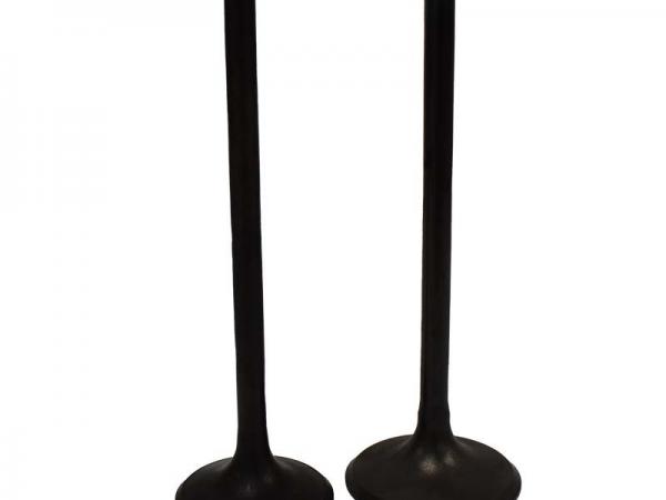 Miscellaneous Engine Valve Pair | Honda | TRX650FA /FGA /TRX680FA /FGA