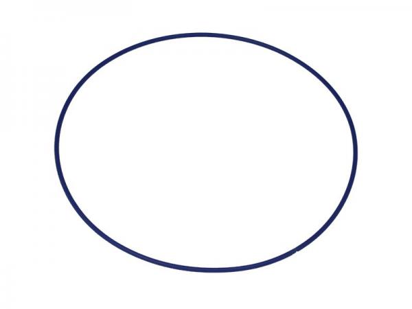 Miscellaneous C-Dax Part - O'Ring SR Lid 160x2.7x0.9