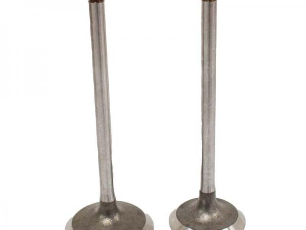 Miscellaneous Engine Valve Pair | Can-Am | Outlander 330 400 1000