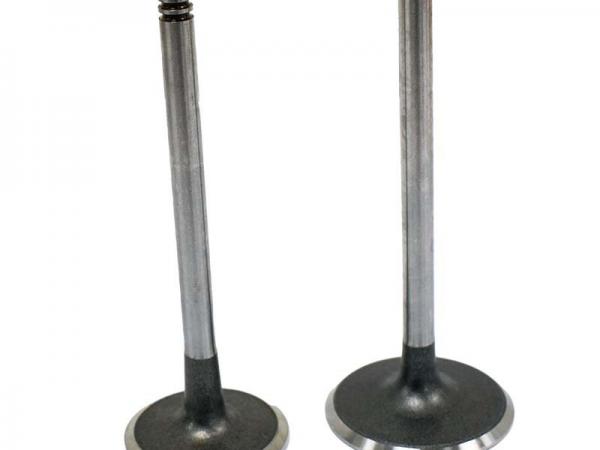 Miscellaneous Engine Valve Pair | Can-Am | DS650 00-07