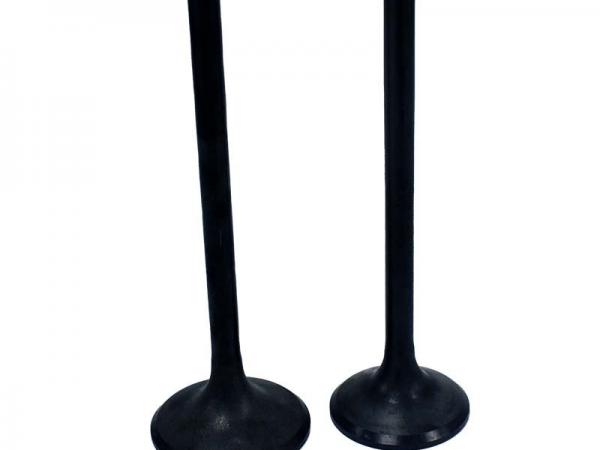 Miscellaneous Engine Valve Pair | Honda | TRX350D 86-89