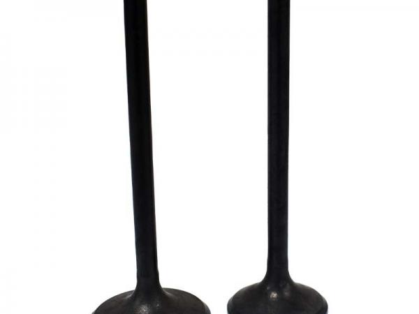 Miscellaneous Engine Valve Pair | Honda | TRX250 /TE /TM 02-20