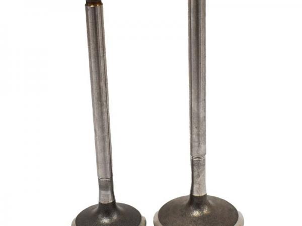 Miscellaneous Engine Valve Pair | Polaris | RZR 170