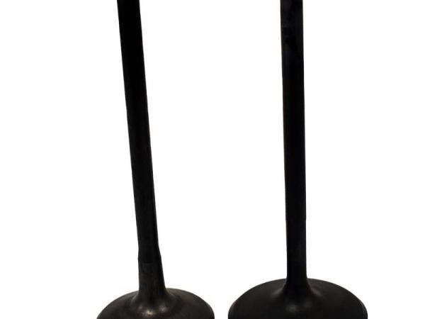 Miscellaneous Engine Valve Pair | Polaris | RZR 11-14