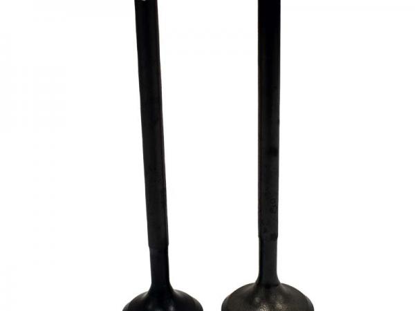 Miscellaneous Engine Valve Pair | Honda | TRX250X 87-92 /TRX300 93-98